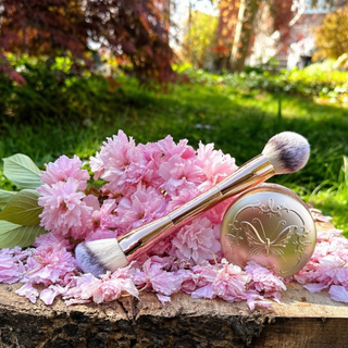 Fable Signature Edition Setting POWDR